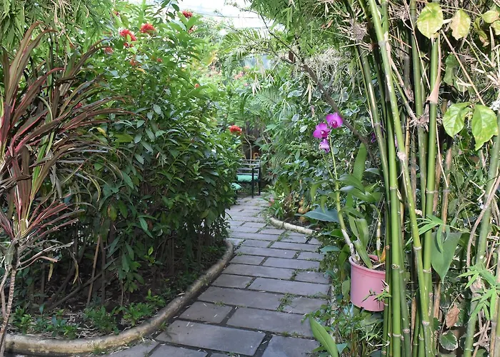 Ostello Butterfly Garden *